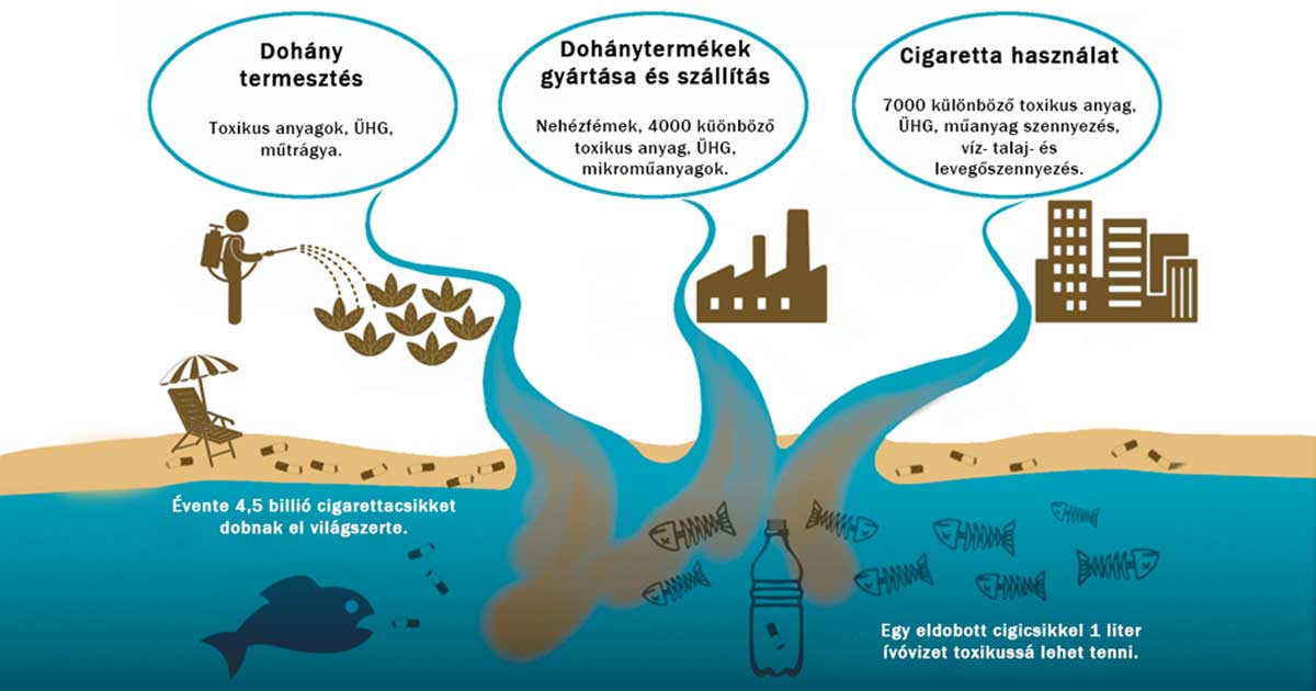 A dohány-ciklus vázlatos környezetszennyező hatása.  Az alapábra forrása: Unfairtobacco