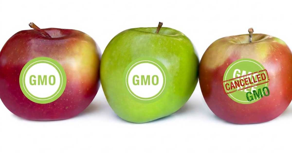 uj-gmo.jpg